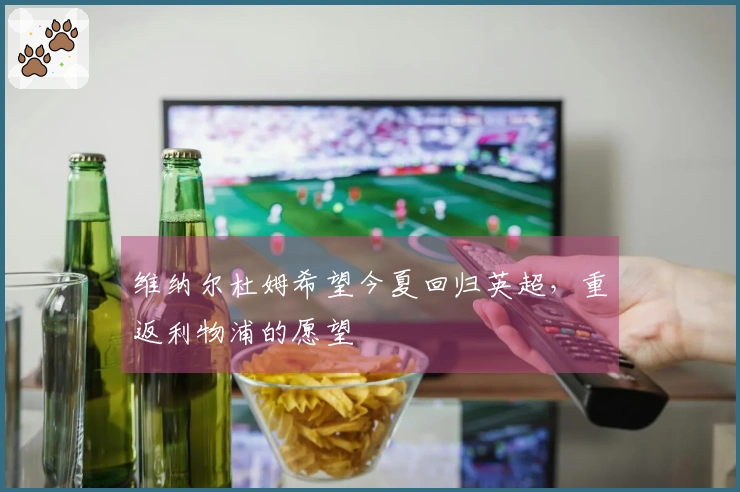 维纳尔杜姆希望今夏回归英超，重返利物浦的愿望